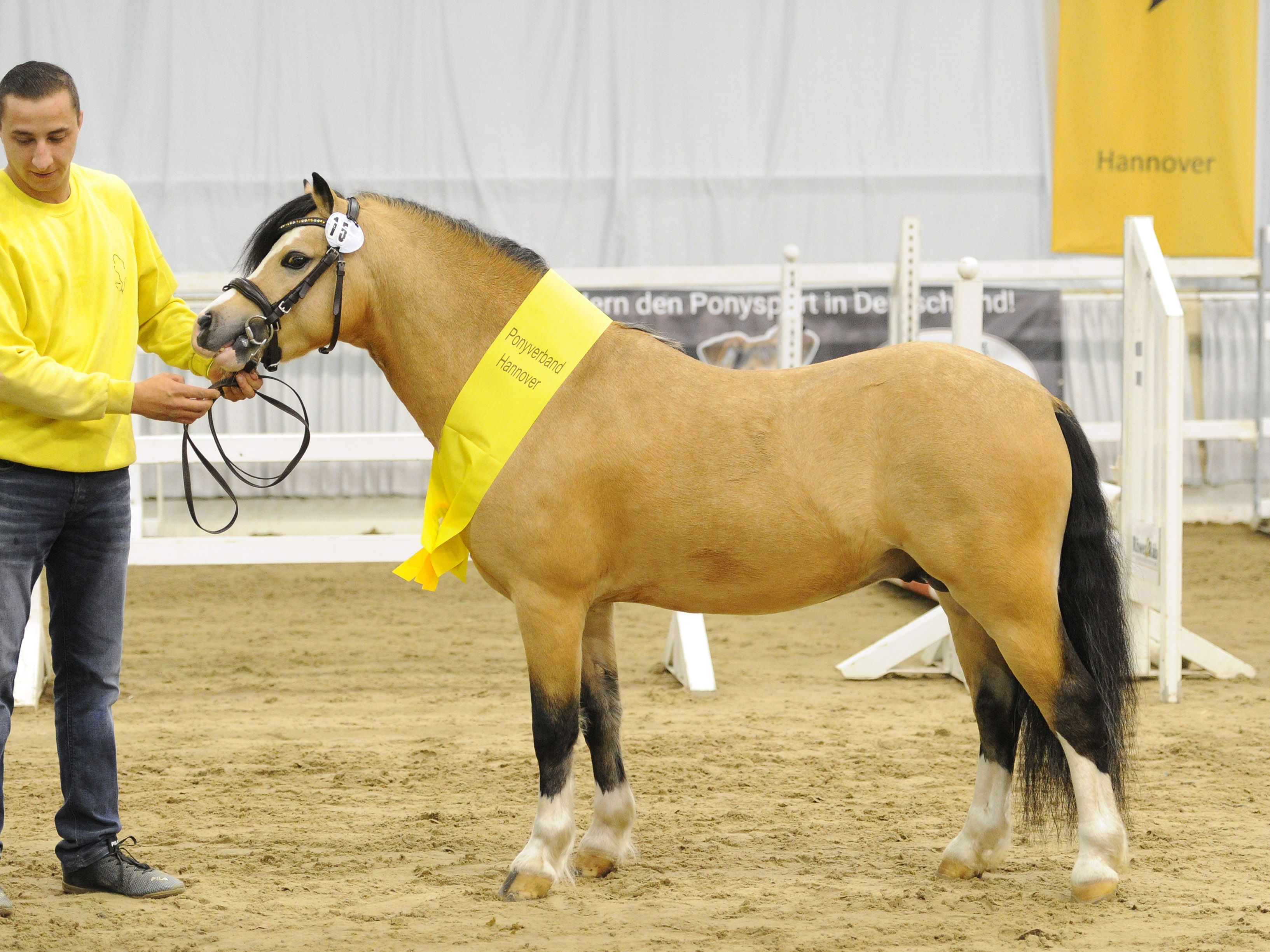 Blue Dyfa's Nikai Blue Dyfa's Nikai