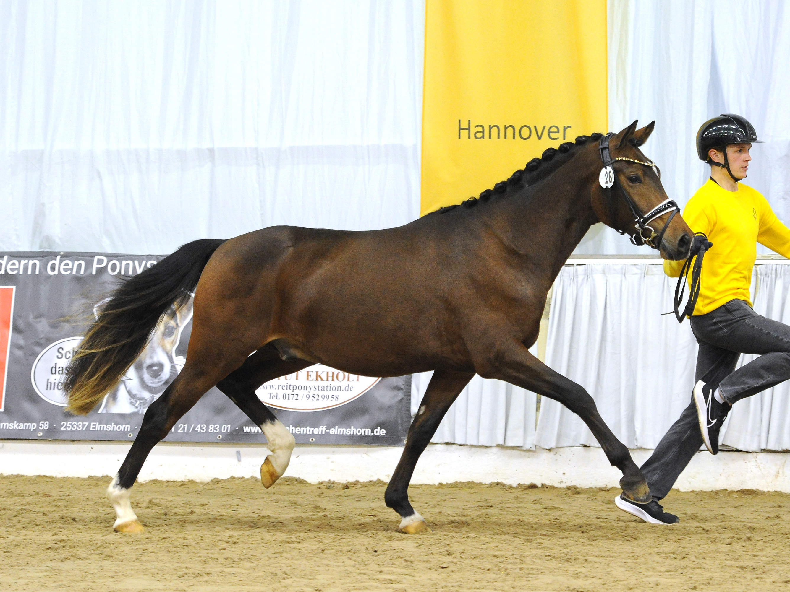 Rickhofs Der Naseweiß Rickhofs Der Naseweiß