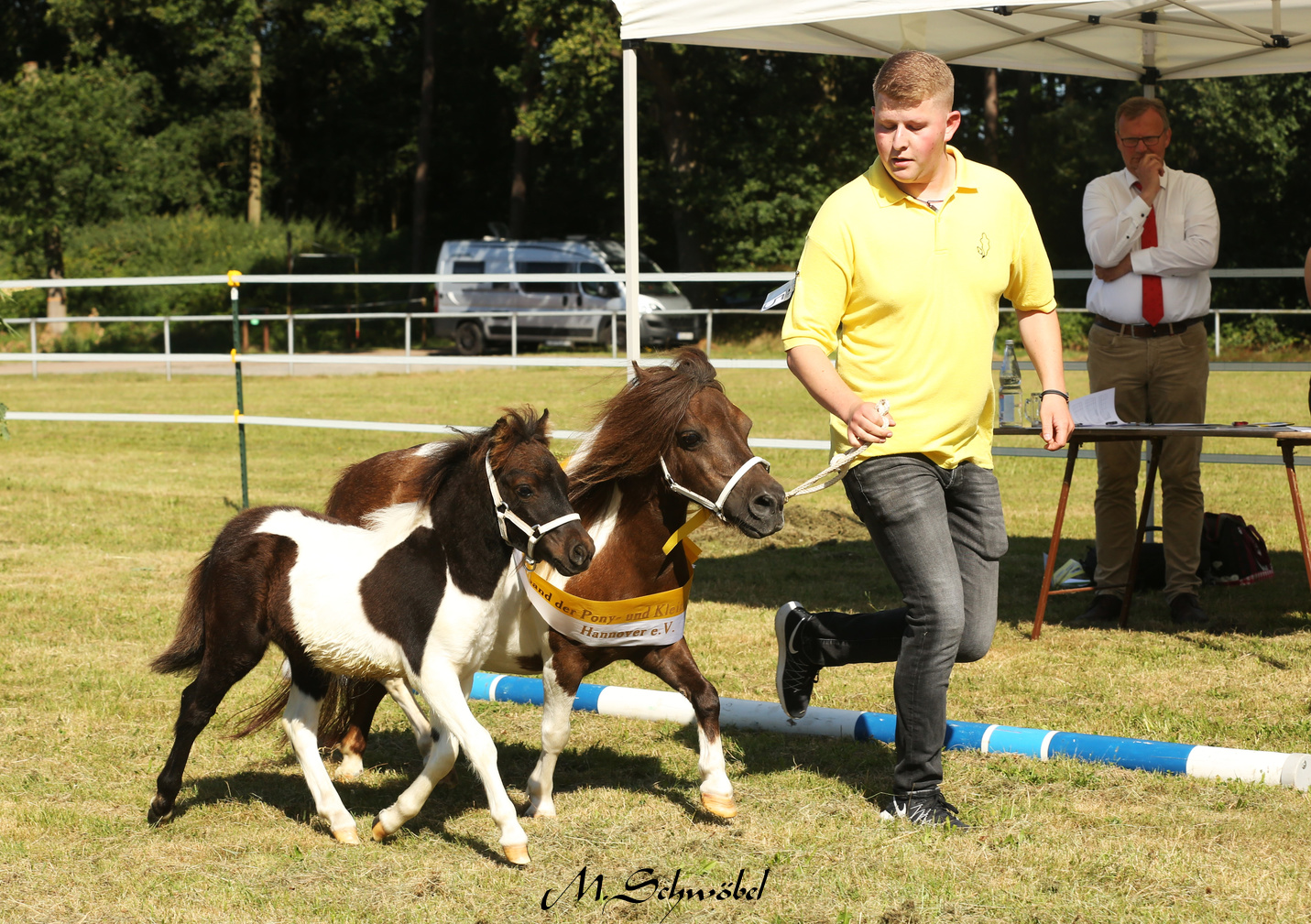 01 Sieger Hf Mini Grapper vom Birkenbaum L Kost 2