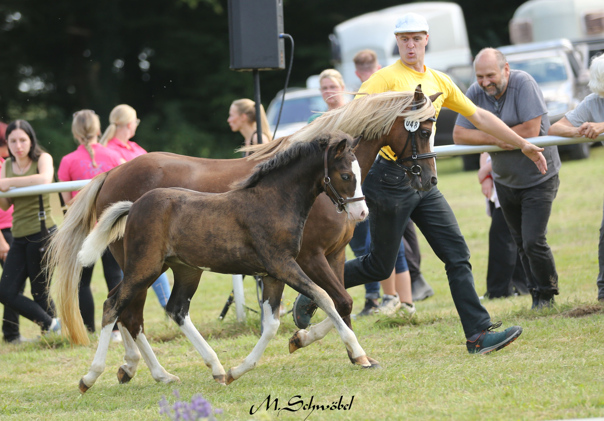 11 Odin R v Renneberg Annegret backen 1