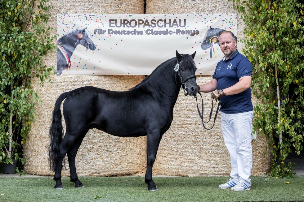 IMG 7492 Reservesieger Senior Jupiter v Clus Foto Althoff003