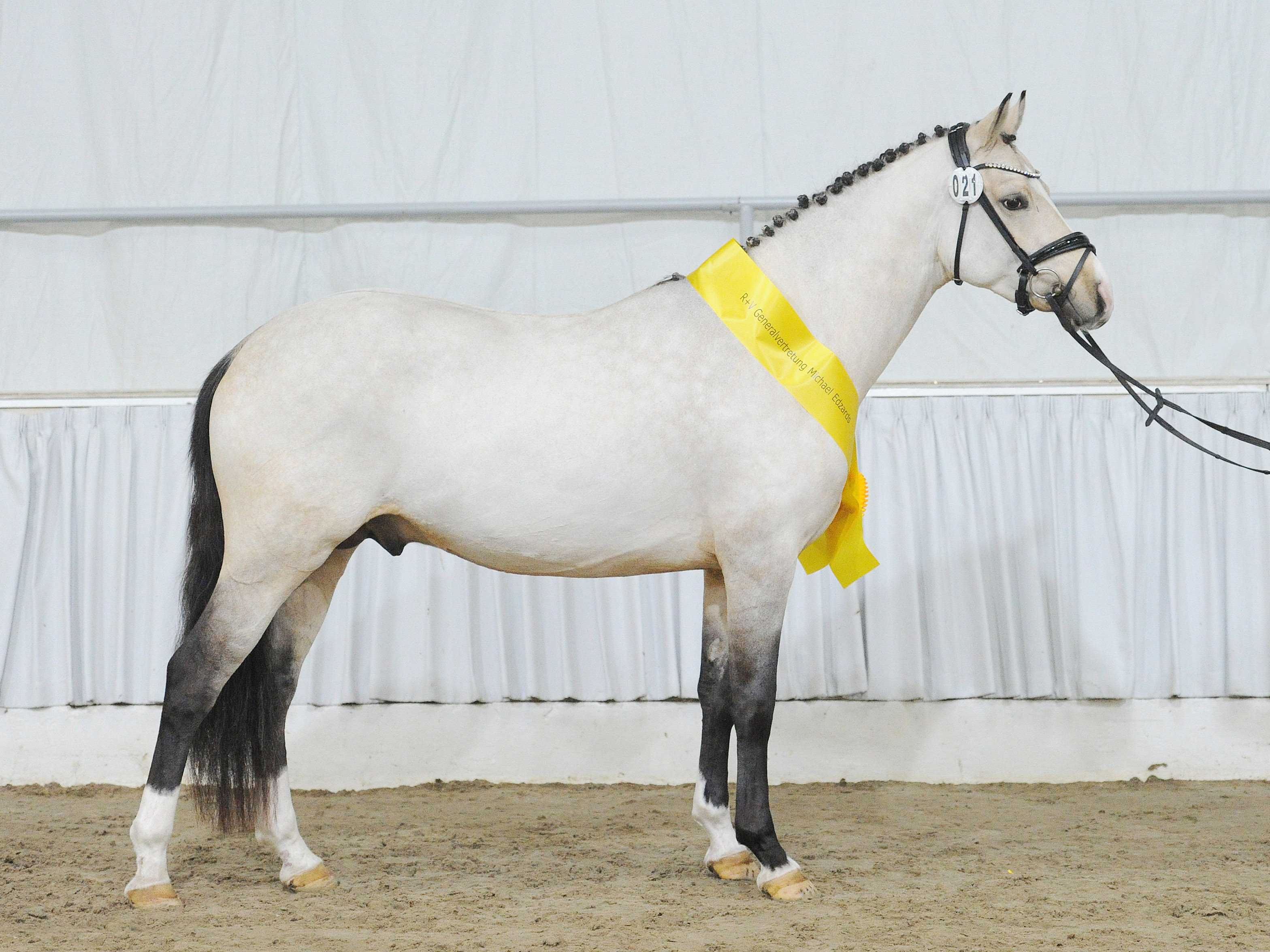 Camino v. CésarPetit Rock the Moment