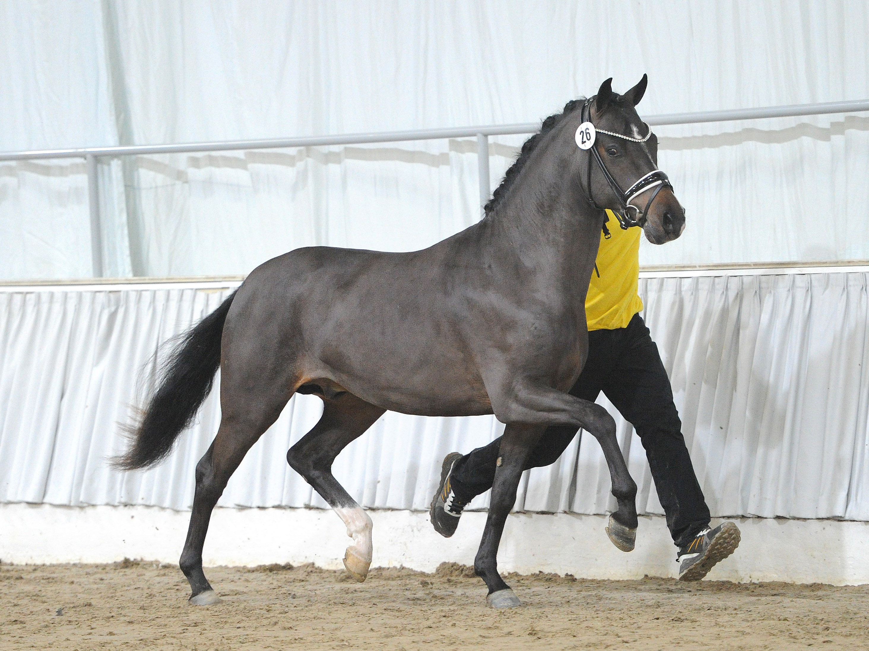 Dancing in the Midnight AT v. Dancing in the Moonlight ATDating AT NRW