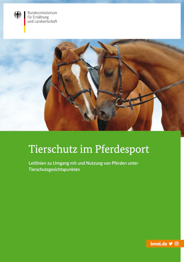 tierschutz pferdesport