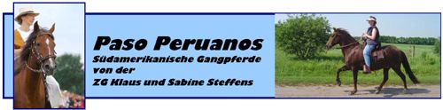 Banner_Pasoperuano-steffens.jpg - 15,47 kB