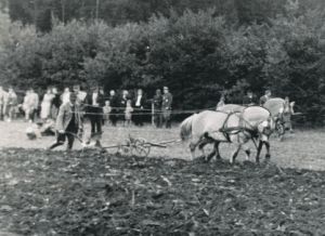 1954 Schaupfluegen